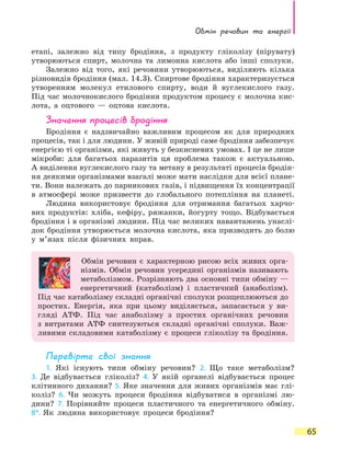 Обмін речовин та енергії
65
етапі, залежно від типу бродіння, з продукту гліколізу (пірувату)
утворюються спирт, молочна та лимонна кислота або інші сполуки.
Залежно від того, які речовини утворюються, виділяють кілька
різновидів бродіння (мал. 14.3). Спиртове бродіння характеризується
утворенням молекул етилового спирту, води й вуглекислого газу.
Під час молочнокислого бродіння продуктом процесу є молочна кис-
лота, а оцтового — оцтова кислота.
Значення процесів бродіння
Бродіння є надзвичайно важливим процесом як для природних
процесів, так і для людини. У живій природі саме бродіння забезпечує
енергією ті організми, які живуть у безкисневих умовах. І це не лише
мікроби: для багатьох паразитів ця проблема також є актуальною.
А виділення вуглекислого газу та метану в результаті процесів бродін-
ня деякими організмами взагалі може мати наслідки для всієї плане-
ти. Вони належать до парникових газів, і підвищення їх концентрації
в атмосфері може призвести до глобального потепління на планеті.
Людина використовує бродіння для отримання багатьох харчо-
вих продуктів: хліба, кефіру, ряжанки, йогурту тощо. Відбувається
бродіння і в організмі людини. Під час великих навантажень унаслі-
док бродіння утворюється молочна кислота, яка призводить до болю
у  м’язах після фізичних вправ.
Обмін речовин є характерною рисою всіх живих орга-
нізмів. Обмін речовин усередині організмів називають
метаболізмом. Розрізняють два основні типи обміну —
енергетичний (катаболізм) і пластичний (анаболізм).
Під час катаболізму складні органічні сполуки розщеплюються до
простих. Енергія, яка при цьому виділяється, запасається у ви-
гляді АТФ. Під час анаболізму з простих органічних речовин
з  витратами АТФ синтезуються складні органічні сполуки. Важ-
ливими складовими катаболізму є процеси гліколізу та бродіння.
Перевірте свої знання
1. Які існують типи обміну речовин? 2. Що таке метаболізм?
3.  Де  відбувається гліколіз? 4. У якій органелі відбувається процес
клітинного дихання? 5. Яке значення для живих організмів має глі-
коліз? 6. Чи можуть процеси бродіння відбуватися в організмі лю-
дини? 7.  Порівняйте процеси пластичного та енергетичного обміну.
8*.  Як  людина використовує процеси бродіння?
 