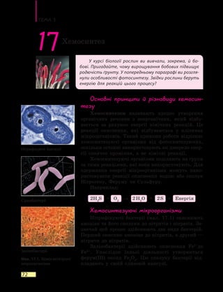 Тема 3
72
У курсі біології рослин ви вивчали, зокрема, й бо-
бові. Пригадайте, чому вирощування бобових підвищує
родючість ґрунту. У попередньому параграфі ви розгля-
нули особливості фотосинтезу. Звідки рослини беруть
енергію для реакцій цього процесу?
17Хемосинтез
Основні принципи й різновиди хемосин-
тезу
Хемосинтезом називають процес утворення
органічних речовин з неорганічних, який відбу-
вається за рахунок енергії хімічних реакцій. Це
реакції окиснення, які відбуваються у клітинах
мікроорганізмів. Такий принцип роботи відрізняє
хемосинтезуючі організми від фотосинтезуючих,
оскільки останні використовують як джерело енер-
гії сонячне проміння, а не хімічні реакції.
Хемосинтезуючі організми поділяють на групи
за тими реакціями, які вони використовують. Для
одержання енергії мікроорганізми можуть вико-
ристовувати реакції окиснення водню або сполук
Нітрогену, Феруму чи Сульфуру.
Наприклад:
2H2
S + O2
→ 2 H2
O + 2 S + Енергія
Хемосинтезуючі мікроорганізми
Нітрифікуючі бактерії (мал. 17.1) окиснюють
амоніак та його сполуки до нітритів і нітратів. За-
звичай цей процес здійснюють два види бактерій.
Перший окиснює амоніак до нітритів, а другий —
нітрити до нітратів.
Залізобактерії здійснюють окиснення Fe2+
до
Fe3+
. Унаслідок їхньої діяльності утворюється
ферум(III) оксид Fe2
O3
. Цю сполуку бактерії від-
кладають у своїй слизовій капсулі.
Нітрифікуючі бактерії
Сіркобактерії
Залізобактерії
Мал. 17.1. Хемосинтезуючі
мікроорганізми
 