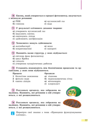 77
10	 Кисень, який утворюється в процесі фотосинтезу, вилучається
з молекули речовини:
а)	 РНК	 в)	 вуглекислий газ
б)	 глюкоза	 г)	 вода
11	 У результаті клітинного дихання тварини:
а)	 утворюють вуглекислий газ
б)	 виділяють кисень
в)	 синтезують ліпіди
г)	 здійснюють азотфіксацію
12	 Хемосинтез можуть здійснювати:
а)	 залізобактерії	 в)	 мохи
б)	 покритонасінні	 г)	 папороті
13	 Напишіть назви структур, у яких відбувається:
а)	 світлова фаза фотосинтезу
б)	 цикл Кребса
в)	 гліколіз
г)	 утворення еукаріотичних рибосом
14	 Установіть відповідність між біохімічними процесами та ор-
ганелами, у яких вони відбуваються.
Процеси Органели
1	 біологічне окиснення
2	 фотоліз води
3	 синтез ліпідів
а)	 лізосома
б)	 ендоплазматична сітка
в)	 мітохондрія
г)	 хлоропласт
15	 Розгляньте органелу, яка зображена на
малюнку. Напишіть, які речовини в ній утворю-
ються, а які розщеплюються.
16	 Розгляньте органелу, яка зображена на
малюнку. Напишіть, які речовини в ній утворю-
ються, а які розщеплюються.
Перевірте свої знання з теми «Принципи функціонування
клітини».
 