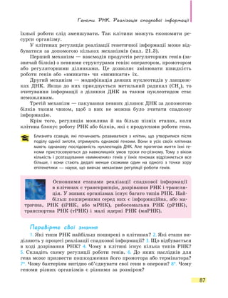 Геноми. РНК. Реалізація спадкової інформації
87
їхньої роботи слід зменшувати. Так клітини можуть економити ре-
сурси організму.
У клітинах регуляція реалізації генетичної інформації може від-
буватися за допомогою кількох механізмів (мал. 21.3).
Перший механізм — взаємодія продуктів регуляторних генів (за-
звичай білків) з певними структурами генів: оператором, промотором
або регуляторними ділянками. Це дозволяє змінювати швидкість
роботи генів або «вмикати» чи «вимикати» їх.
Другий механізм — модифікація деяких нуклеотидів у ланцюж-
ках ДНК. Якщо до них приєднується метильний радикал (СН3
), то
зчитування інформації з ділянки ДНК за таким нуклеотидом стає
неможливим.
Третій механізм — пакування певних ділянок ДНК за допомогою
білків таким чином, щоб з них не можна було зчитати спадкову
інформацію.
Крім того, регуляція можлива й на більш пізніх етапах, коли
клітина блокує роботу РНК або білків, які є продуктами роботи гена.
Близнята ссавців, які починають розвиватися з клітин, що утворилися після
поділу однієї зиготи, отримують однакові геноми. Вони в усіх своїх клітинах
мають однакову послідовність нуклеотидів ДНК. Але протягом життя їхні ге-
номи пристосовуються до навколишніх умов трохи по-різному. Тому з віком
кількість і розташування «вимкнених» генів у їхніх геномах відрізняється все
більше, і вони стають дедалі менше схожими один на одного з точки зору
епігенетики — науки, що вивчає механізми регуляції роботи генів.
Основними етапами реалізації спадкової інформації
в клітинах є транскрипція, дозрівання РНК і трансля-
ція. У живих організмах існує багато типів РНК. Най-
більш поширеними серед них є інформаційна, або ма-
трична, РНК (іРНК, або мРНК), рибосомальна РНК (рРНК),
транспортна РНК (тРНК) і малі ядерні РНК (мяРНК).
Перевірте свої знання
1. Які типи РНК найбільш поширені в клітинах? 2. Які етапи ви-
діляють у процесі реалізації спадкової інформації? 3. Що відбувається
в ході дозрівання РНК? 4. Чому в клітині існує кілька типів РНК?
5. Складіть схему регуляції роботи генів. 6. До яких наслідків для
гена може призвести пошкодження його промотора або термінатора?
7*. Чому бактеріям вигідно об’єднувати свої гени в оперони? 8*. Чому
геноми різних організмів є різними за розміром?
 