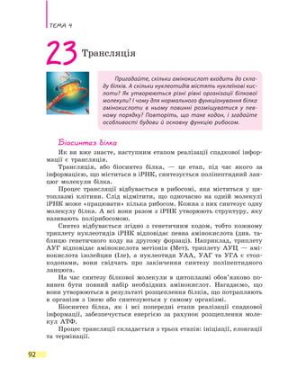 Тема 4
92
Пригадайте, скільки амінокислот входить до скла-
ду білків. А скільки нуклеотидів містять нуклеїнові кис-
лоти? Як утворюються різні рівні організації білкової
молекули? І чому для нормального функціонування білка
амінокислоти в ньому повинні розміщуватися у пев-
ному порядку? Повторіть, що таке кодон, і згадайте
особливості будови й основну функцію рибосом.
23Трансляція
Біосинтез білка
Як ви вже знаєте, наступним етапом реалізації спадкової інфор-
мації є трансляція.
Трансляція, або біосинтез білка, — це етап, під час якого за
інформацією, що міститься в іРНК, синтезується поліпептидний лан-
цюг молекули білка.
Процес трансляції відбувається в рибосомі, яка міститься у ци-
топлазмі клітини. Слід відмітити, що одночасно на одній молекулі
іРНК може «працювати» кілька рибосом. Кожна з них синтезує одну
молекулу білка. А всі вони разом з іРНК утворюють структуру, яку
називають полірибосомою.
Синтез відбувається згідно з генетичним кодом, тобто кожному
триплету нуклеотидів іРНК відповідає певна амінокислота (див. та-
блицю генетичного коду на другому форзаці). Наприклад, триплету
АУГ відповідає амінокислота метіонін (Мет), триплету АУЦ  — амі-
нокислота ізолейцин (Іле), а нуклеотиди УАА, УАГ та УГА є стоп-
кодонами, вони свідчать про закінчення синтезу поліпептидного
ланцюга.
На час синтезу білкової молекули в цитоплазмі обов’язково по-
винен бути повний набір необхідних амінокислот. Нагадаємо, що
вони утворюються в результаті розщеплення білків, що потрапляють
в організм з їжею або синтезуються у самому організмі.
Біосинтез білка, як і всі попередні етапи реалізації спадкової
інформації, забезпечується енергією за рахунок розщеплення моле-
кул АТФ.
Процес трансляції складається з трьох етапів: ініціації, елонгації
та термінації.
 