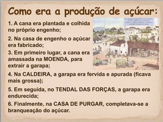1. A cana era plantada e colhida
no próprio engenho;
2. Na casa de engenho o açúcar
era fabricado;
3. Em primeiro lugar, a cana era
amassada na MOENDA, para
extrair a garapa;
4. Na CALDEIRA, a garapa era fervida e apurada (ficava
mais grossa);
5. Em seguida, no TENDAL DAS FORÇAS, a garapa era
endurecida;
6. Finalmente, na CASA DE PURGAR, completava-se a
branqueação do açúcar.
 