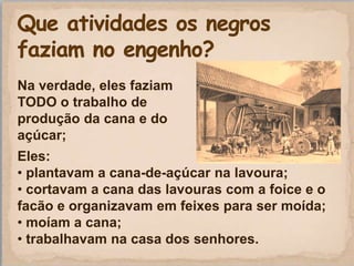 Na verdade, eles faziam
TODO o trabalho de
produção da cana e do
açúcar;
Eles:
• plantavam a cana-de-açúcar na lavoura;
• cortavam a cana das lavouras com a foice e o
facão e organizavam em feixes para ser moída;
• moíam a cana;
• trabalhavam na casa dos senhores.
 
