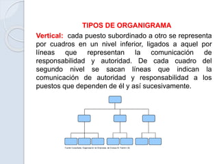 TIPOS DE ORGANIGRAMA
Vertical: cada puesto subordinado a otro se representa
por cuadros en un nivel inferior, ligados a aquel por
líneas que representan la comunicación de
responsabilidad y autoridad. De cada cuadro del
segundo nivel se sacan líneas que indican la
comunicación de autoridad y responsabilidad a los
puestos que dependen de él y así sucesivamente.
 