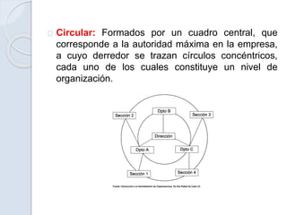 Circular: Formados por un cuadro central, que
corresponde a la autoridad máxima en la empresa,
a cuyo derredor se trazan círculos concéntricos,
cada uno de los cuales constituye un nivel de
organización.
 