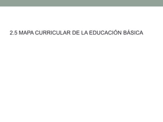 2.5 MAPA CURRICULAR DE LA EDUCACIÓN BÁSICA
 