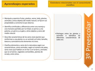2º grado

• Manipula y examina frutas, piedras, arena, lodo, plantas,
  animales y otros objetos del medio natural, se fija en sus




                                                                                                        3º Preescolar
  propiedades y comenta lo que observa.

• Identifica similitudes y diferencias entre una naranja y
  una manzana partidas por la mitad; un perico y una
  paloma, un perro y un gato u otros objetos y seres del
  medio natural.                                                      • Distingue entre las plantas y
                                                                        animales e identifica las
• Describe características de los seres vivos (partes que               diferentes características de
  conforman a una planta o a un animal) y el color, tamaño,             cada uno.
  textura y consistencia de elementos no vivos.

• Clasifica elementos y seres de la naturaleza según sus
  características, como animales, según el número de patas,
  seres vivos que habitan en el mar o en la tierra, animales
  que se arrastran, vegetales comestibles, plantas de
  ornato, entre otros.
 Reconoce que sus sentidos funcionan de manera integrada y realiza
  acciones para cuidarlos.




                                                                                                                   22
 