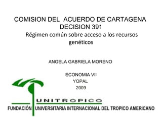 COMISION DEL  ACUERDO DE CARTAGENA  DECISION 391  Régimen común sobre acceso a los recursos genéticos ANGELA GABRIELA MORENO  ECONOMIA VII YOPAL  2009 