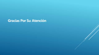 Gracias Por Su Atención
 