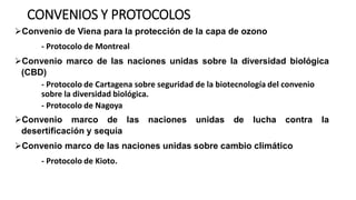 CONVENIOS Y PROTOCOLOS
➢Convenio de Viena para la protección de la capa de ozono
- Protocolo de Montreal
➢Convenio marco de las naciones unidas sobre la diversidad biológica
(CBD)
- Protocolo de Cartagena sobre seguridad de la biotecnología del convenio
sobre la diversidad biológica.
- Protocolo de Nagoya
➢Convenio marco de las naciones unidas de lucha contra la
desertificación y sequía
➢Convenio marco de las naciones unidas sobre cambio climático
- Protocolo de Kioto.
 