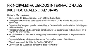 PRINCIPALES ACUERDOS INTERNACIONALES
MULTILATERALES O AMUMAS
Océanos, Mares y Aguas
• Convención de Naciones Unidas sobre el Derecho del Mar
• El Programa Mundial de Acción para la Protección del Medio Marino de Actividades
Terrestres
• Convenio de Cartagena para la Protección y el Desarrollo del Medio Marino de la Región
del Gran Caribe
• Protocolo Relativo a la Cooperación para Combatir los Derrames de Hidrocarburos en la
Región del Gran Caribe.
• Protocolo Relativo a las Áreas Protegidas y Vida Silvestre (SPAW) en la Región del Gran
Caribe.
• Protocolo Relativo a la Contaminación de Fuentes Terrestres y Actividades.
• Plan de acción del Nor-Este del Pacífico/NOWPAP
• Convención de Guatemala para el Nor-Este del Pacífico
 