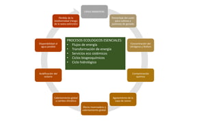 CRISIS AMBIENTAL
Porcentaje del suelo
para cultivos y
pastoreo de ganado
Concentración del
nitrógeno y fósforo
Contaminación
química
Agotamiento de la
capa de ozono
Efecto invernadero y
calentamiento global.
Calentamiento global
y cambio climático
Acidificación del
océano
Disponibilidad el
agua potable
Pérdida de la
biodiversidad (riesgo
de la sexta extinción)
PROCESOS ECOLOGICOS ESENCIALES:
• Flujos de energía
• Transformación de energía
• Servicios eco sistémicos
• Ciclos biogeoquímicos
• Ciclo hidrológico
 