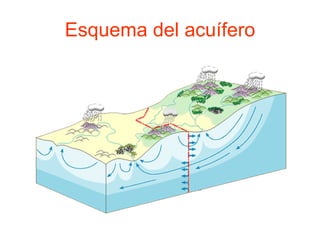 Esquema del acuífero 