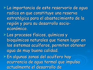 La importancia de este reservorio de agua radica en que constituye una reserva estratégica para el abastecimiento de la región y para su desarrollo socio- económico.  Los procesos físicos, químicos y bioquímicos naturales que tienen lugar en los sistemas acuíferos, permiten obtener agua de muy buena calidad.  En algunas zonas del acuífero hay ocurrencia de agua termal que impulsa actualmente el desarrollo de emprendimientos turísticos y otros usos industriales de la región. 