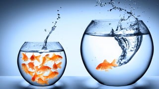 Ophthalmology Innovation Showcase 2 - AcuFocus