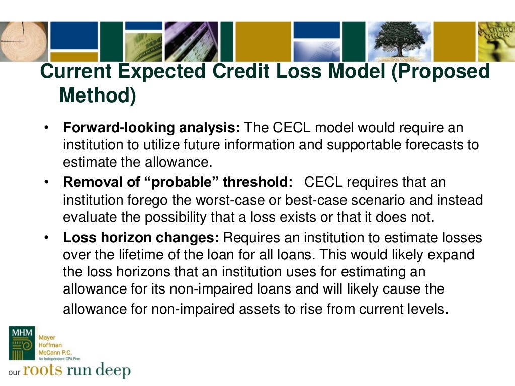 Presentation Slides Allowance for Loan Losses Proposed Current Exp…