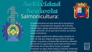 Salmonicultura:
Actividad
Acuícola
La salmonicultura es una rama de la acuicultura
enfocada a la producción de peces de la familia
salmonidae o peces salmoniformes, tanto truchas
como salmones. En el caso de la trucha, se conoce
como truticultura.
Al ser peces anádromos deben pasar durante su
ciclo de vida por etapas de agua dulce y de agua
salada. La puesta y el desarrollo de larvas y alevines
transcurre en agua dulce, tanto para truchas como
salmones. En el caso de la trucha, se puede
mantener en agua dulce hasta su tamaño comercial,
o realizar el proceso de esmoltificación, al igual que
 