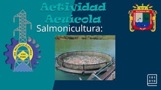 Salmonicultura:
Actividad
Acuícola
 