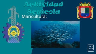 Maricultura:
Actividad
Acuícola
 