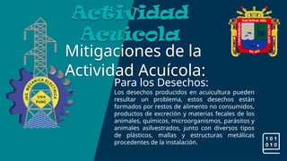Mitigaciones de la
Actividad Acuícola:
Actividad
Acuícola
Para los Desechos:
Los desechos producidos en acuicultura pueden
resultar un problema, estos desechos están
formados por restos de alimento no consumidos,
productos de excreción y materias fecales de los
animales, químicos, microorganismos, parásitos y
animales asilvestrados, junto con diversos tipos
de plásticos, mallas y estructuras metálicas
procedentes de la instalación.
 