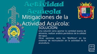 Mitigaciones de la
Actividad Acuícola:
Actividad
Acuícola
SOLUCION:
Una solución seria aportar la cantidad exacta de
alimento, realizar análisis periódicos de la calidad
del agua.
Otras opciones seria los “Biofiltros” en los
sistemas de recirculación en la actividad de la
acuicultura.
 