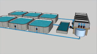 Mitigaciones de la
Actividad Acuícola:
Actividad
Acuícola
 