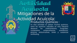 Mitigaciones de la
Actividad Acuícola:
Actividad
Acuícola
Productos Químicos :
En esta actividad se utilizan muchos químicos,
entre los químicos utilizados en esta industria
destacan los medicamentos, fungicidas,
compuestos antiparasitarios, anestésicos,
pinturas anticorrosivas, tintes y sustancias
antifouling.
 
