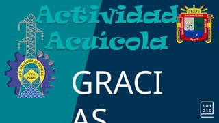 Actividad
Acuícola
GRACI
 