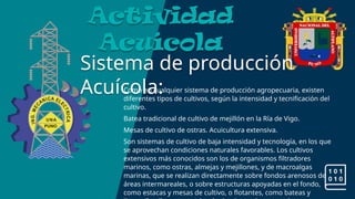 Sistema de producción
Acuícola:
Actividad
Acuícola
Como en cualquier sistema de producción agropecuaria, existen
diferentes tipos de cultivos, según la intensidad y tecnificación del
cultivo.
Batea tradicional de cultivo de mejillón en la Ría de Vigo.
Mesas de cultivo de ostras. Acuicultura extensiva.
Son sistemas de cultivo de baja intensidad y tecnología, en los que
se aprovechan condiciones naturales favorables. Los cultivos
extensivos más conocidos son los de organismos filtradores
marinos, como ostras,​almejas y mejillones, y de macroalgas
marinas, que se realizan directamente sobre fondos arenosos de
áreas intermareales, o sobre estructuras apoyadas en el fondo,
como estacas y mesas de cultivo, o flotantes, como bateas y
 