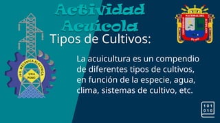 Tipos de Cultivos:
Actividad
Acuícola
La acuicultura es un compendio
de diferentes tipos de cultivos,
en función de la especie, agua,
clima, sistemas de cultivo, etc.
 