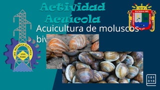 Acuicultura de moluscos
bivaldos:
Actividad
Acuícola
 
