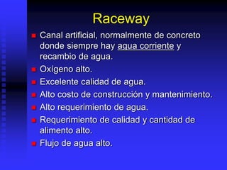 acuicultura.ppt