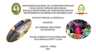 UNIVERSIDAD NACIONAL DE LA AMAZONIA PERUANA
FACULTAD DE CIENCIAS BIOLÓGICAS
ESCUELA PROFESIONAL DE CIENCIAS BIOLÓGICAS
DEPARTAMENTO ACADÉMICO DE HIDROBIOLOGIA
ACUICULTURA DE LA DONCELLA
DOCENTE:
DR. ENRIQUE RIOS ISERN
ESTUDIANTES:
ROJAS CORNEJO EYLEN GERALDINE
VELA AREVALO KATTY LUCIA
LORETO – PERÚ
2021
 