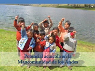 Potencial acuícola en la
Mancomunidad de los Andes
 