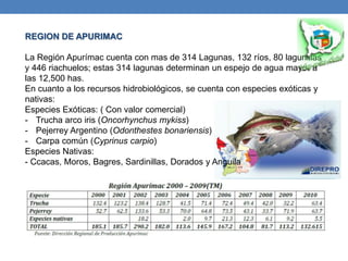 REGION DE APURIMAC
La Región Apurímac cuenta con mas de 314 Lagunas, 132 ríos, 80 lagunillas
y 446 riachuelos; estas 314 lagunas determinan un espejo de agua mayor a
las 12,500 has.
En cuanto a los recursos hidrobiológicos, se cuenta con especies exóticas y
nativas:
Especies Exóticas: ( Con valor comercial)
- Trucha arco iris (Oncorhynchus mykiss)
- Pejerrey Argentino (Odonthestes bonariensis)
- Carpa común (Cyprinus carpio)
Especies Nativas:
- Ccacas, Moros, Bagres, Sardinillas, Dorados y Anguila
 
