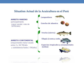 Situation Actual de la Acuicultura en el Perú
 