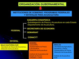 Acuicultura México RGL.pdf