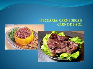 -PECUÁRIA: CARNE SECA E
CARNE-DE-SOL
 