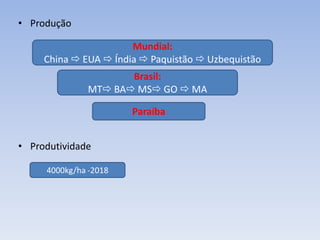 • Produção
• Produtividade
Mundial:
China  EUA  Índia  Paquistão  Uzbequistão
Brasil:
MT BA MS GO  MA
4000kg/ha -2018
Paraíba
 