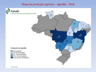 Mapa da produção agrícola – algodão - 2018
 