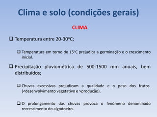 Clima e solo (condições gerais)
CLIMA
 Temperatura entre 20-30oC;
 Temperatura em torno de 15oC prejudica a germinação e o crescimento
inicial.
 Precipitação pluviométrica de 500-1500 mm anuais, bem
distribuídos;
 Chuvas excessivas prejudicam a qualidade e o peso dos frutos.
(<desenvolvimento vegetativo e >produção).
 O prolongamento das chuvas provoca o fenômeno denominado
recrescimento do algodoeiro.
 