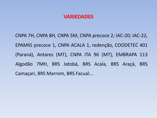 VARIEDADES
CNPA 7H, CNPA 8H, CNPA 5M, CNPA precoce 2; IAC-20; IAC-22,
EPAMIG precoce 1, CNPA ACALA 1, redenção, COODETEC 401
(Paraná), Antares (MT), CNPA ITA 96 (MT), EMBRAPA 113
Algodão 7MH, BRS Jatobá, BRS Acala, BRS Araçá, BRS
Camaçari, BRS Marrom, BRS Facual...
 