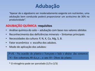 Adubação
“Apesar de o algodoeiro ser moderadamente exigente em nutrientes, uma
adubação bem conduzida poderá proporcionar um acréscimo de 30% na
produtividade”.
ADUBAÇÃO QUÍMICA: requisitos
• Análise química do solo – adubação com base nos valores obtidos
• Reconhecimento das deficiências minerais – Sintomas principais
• Necessidades da cultura: P, N, K, Ca, Mg, S, B.
• Fator econômico x escolha dos adubos.
• Modo de aplicação dos adubos:






planta
da
20cm
10
uns
a
,
.
.
.
.
d
40
cobertura,
Em
N
sementes
das
abaixo
e
lado
o
para
5cm
e
plantio
do
ocasião
Na
K
e
P
p
a
* O nitrogênio pode ser parcelado (1/3 e 2/3)
 