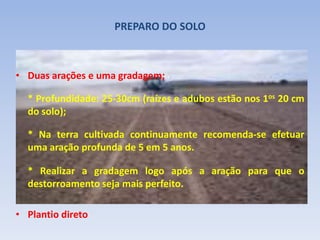 PREPARO DO SOLO
• Duas arações e uma gradagem;
* Profundidade: 25-30cm (raízes e adubos estão nos 1os 20 cm
do solo);
* Na terra cultivada continuamente recomenda-se efetuar
uma aração profunda de 5 em 5 anos.
* Realizar a gradagem logo após a aração para que o
destorroamento seja mais perfeito.
• Plantio direto
 