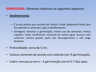 SEMEADURA: Devemos observar os seguintes aspectos:
• Deslintamento:
– É a uma prática que consiste em retirar o línter (pequenas fibras) que
fica aderido às sementes, após o desfibramento.
– Vantagens: favorece a germinação; menor uso de sementes; menos
trabalho; maior rendimento; necessita de menos água; lavoura mais
uniforme, elimina grande parte dos microrganismos e não exige
desbaste.
• Profundidade: cerca de 5 cm;
• Colocar sementes de acordo com estande (ver % germinação);
• Cobrir com pouca terra – A germinação ocorre 5-7 dias após.
 