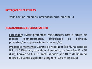 ROTAÇÃO DE CULTURAS
(milho, feijão, mamona, amendoim, soja, mucuna...)
REGULADORES DE CRESCIMENTO
Finalidade: Evitar problemas relacionados com a altura de
plantas (sombreamento, dificuldade de colheita,
pulverizações e apodrecimento de maçãs);
Produto e momento: Cloreto de Mepiquat (Pix®), na dose de
0,5 a 1,0 l/hectare, quando o algodoeiro, na floração (50 a 70
dias), houver de 8 a 10 flores abrindo por 10 m de linha de
fileira ou quando as plantas atingirem 0,50 m de altura
 