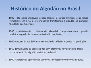 Histórico do Algodão no Brasil
• 1500 – Os índios utilizavam a fibra (redes); o caroço (mingau) e as folhas
(remédios). Em 1750 a rev. industrial transformou o algodão na principal
fibra têxtil das Américas;
• 1760 – Inicialmente o estado do Maranhão despontou como grande
produtor, seguido de todos os estados do Nordeste;
• 1800 – Ascensão dos EUA e concorrência do café (SP) – queda na produção;
• 1860-1900: Guerra da secessão nos EUA promoveu novo surto no Brasil;
o Introdução do algodão herbáceo no Brasil.
• 1900 – A pesquisa agronômica começou ser desenvolvida com a cultura;
 