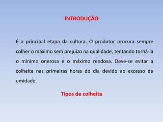 INTRODUÇÃO
É a principal etapa da cultura. O produtor procura sempre
colher o máximo sem prejuízo na qualidade, tentando torná-la
o mínimo onerosa e o máximo rendosa. Deve-se evitar a
colheita nas primeiras horas do dia devido ao excesso de
umidade.
Tipos de colheita
 