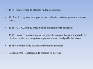 • 1916 – Conferência do algodão no Rio de Janeiro;
• 1918 – A 1a guerra e a geada nos cafezais paulistas provocaram novo
surto;
• 1924 – O I. A.C. Iniciou trabalhos de melhoramento genético;
• 1930 – Nova crise cafeeira e ressurgimento do algodão, agora apoiado em
técnicas modernas, pesquisas regionais e o uso do algodão herbáceo.
• 1983 – Introdução do bicudo (Anthonomus grandis);
• Década de 90 – Exploração do algodão no Cerrado;
 