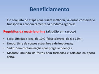 Beneficiamento
É o conjunto de etapas que visam melhorar, valorizar, conservar e
transportar economicamente os produtos agrícolas.
Requisitos da matéria-prima (algodão em caroço)
• Seco: Umidade ideal de 10% (faixa tolerável de 6 a 15%);
• Limpo: Livre de corpos estranhos e de impurezas;
• Sadio: Sem contaminações por pragas e doenças;
• Maduro: Oriundo de frutos bem formados e colhidos na época
certa.
 
